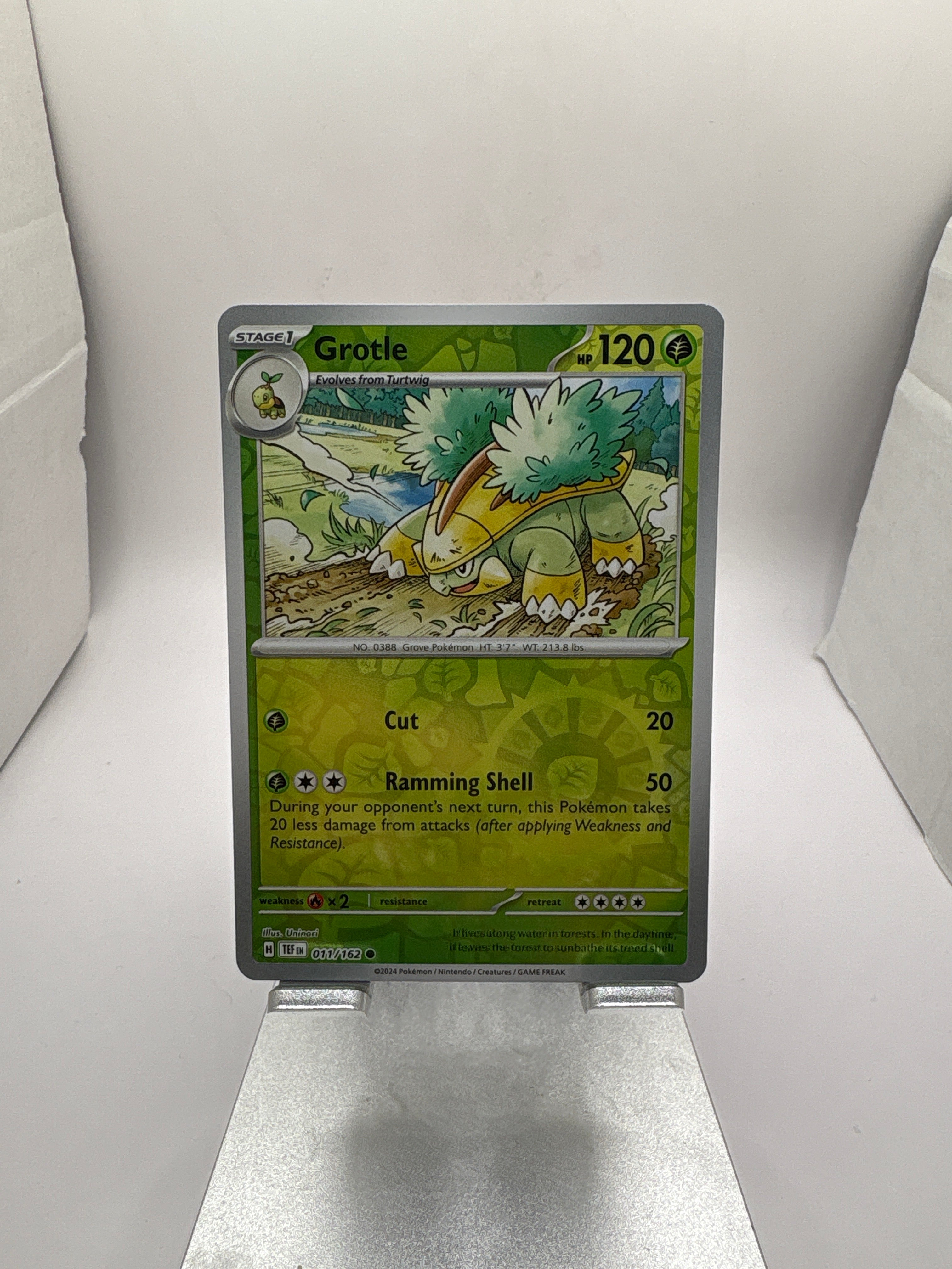 Pokemon Grotle
