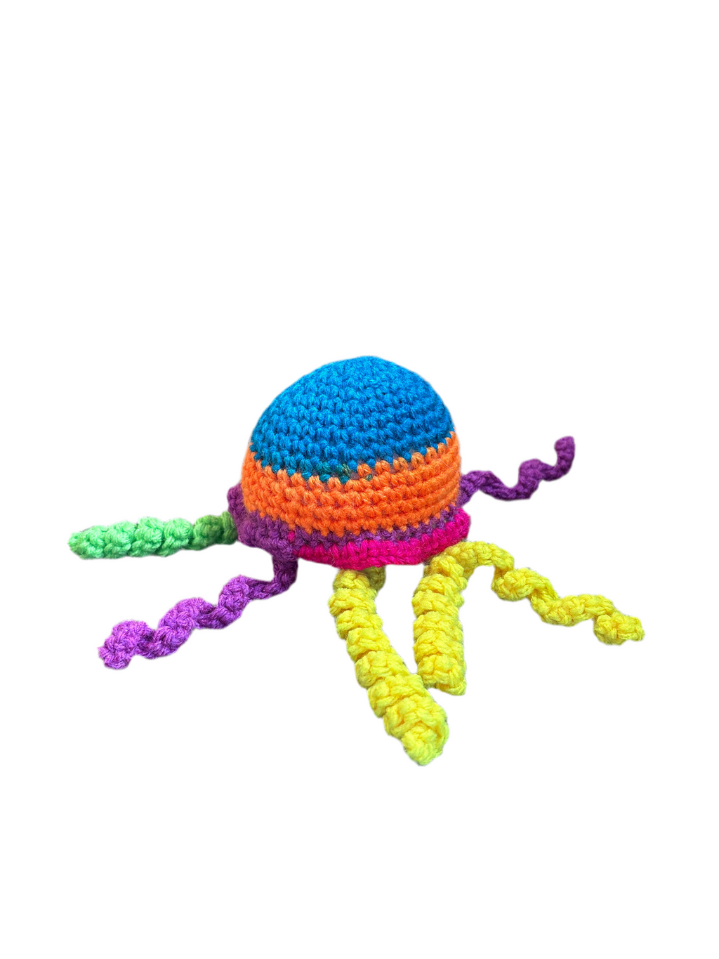 Jellyfish