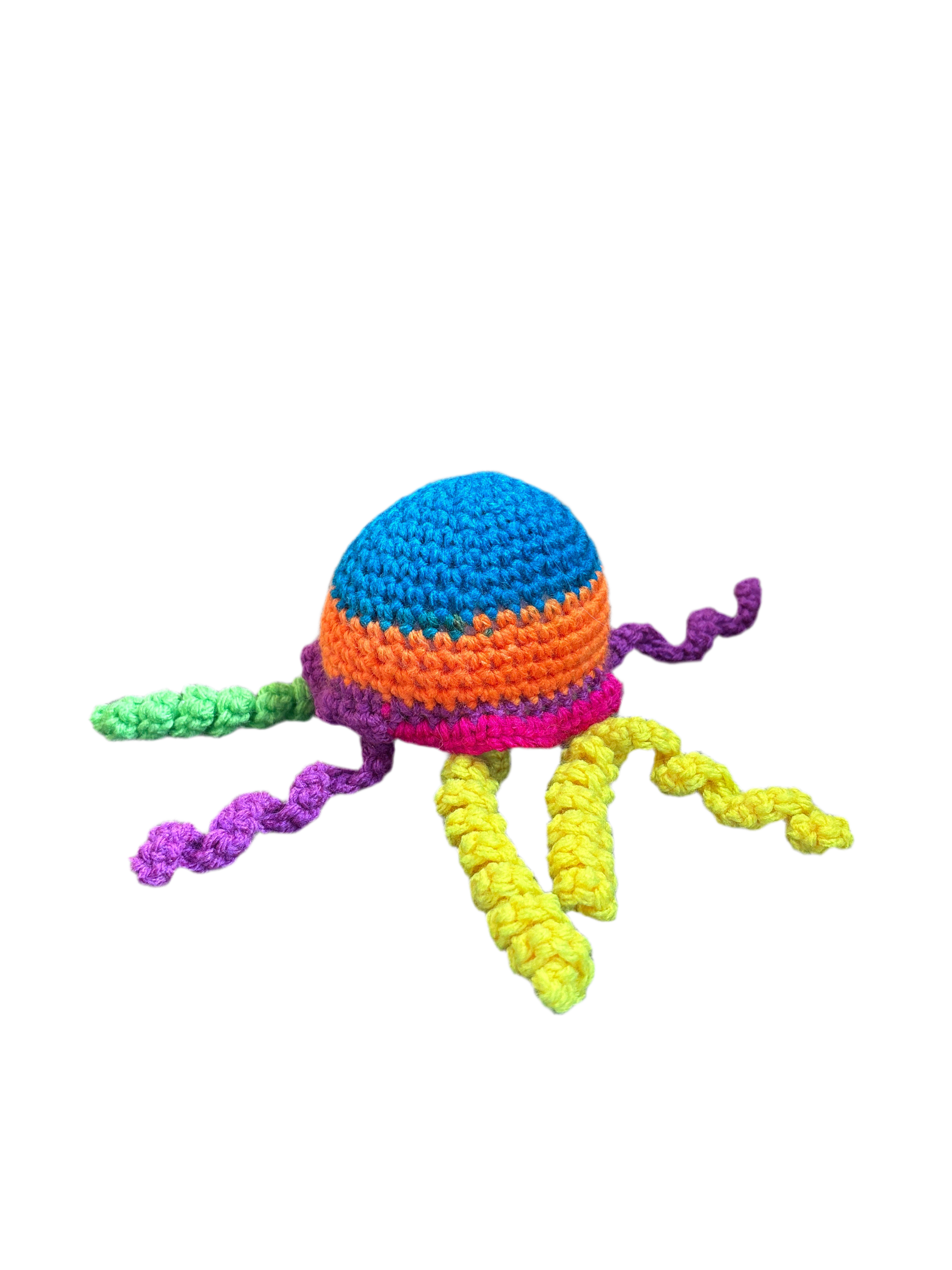 Jellyfish