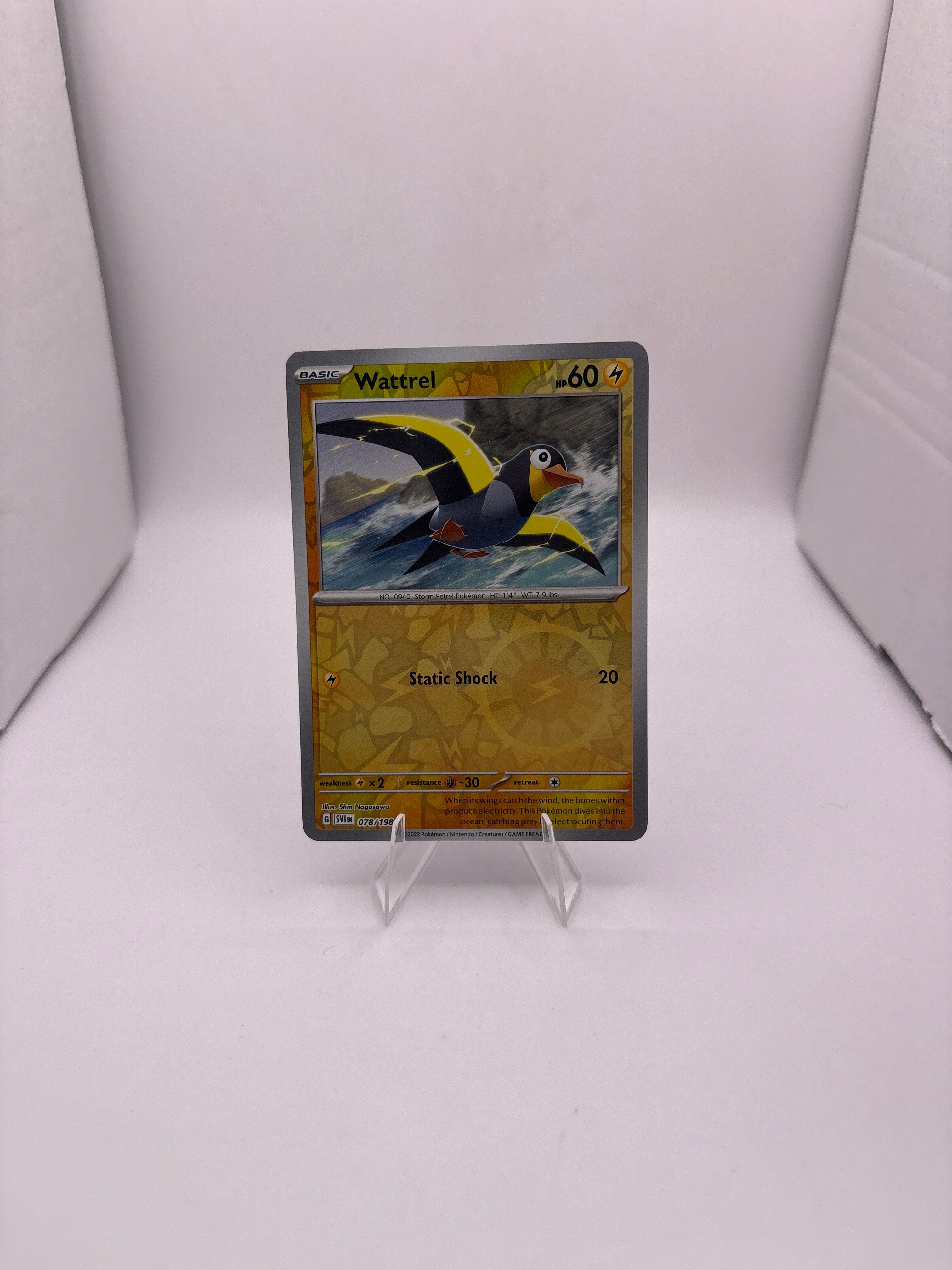 Pokemon Wattrel