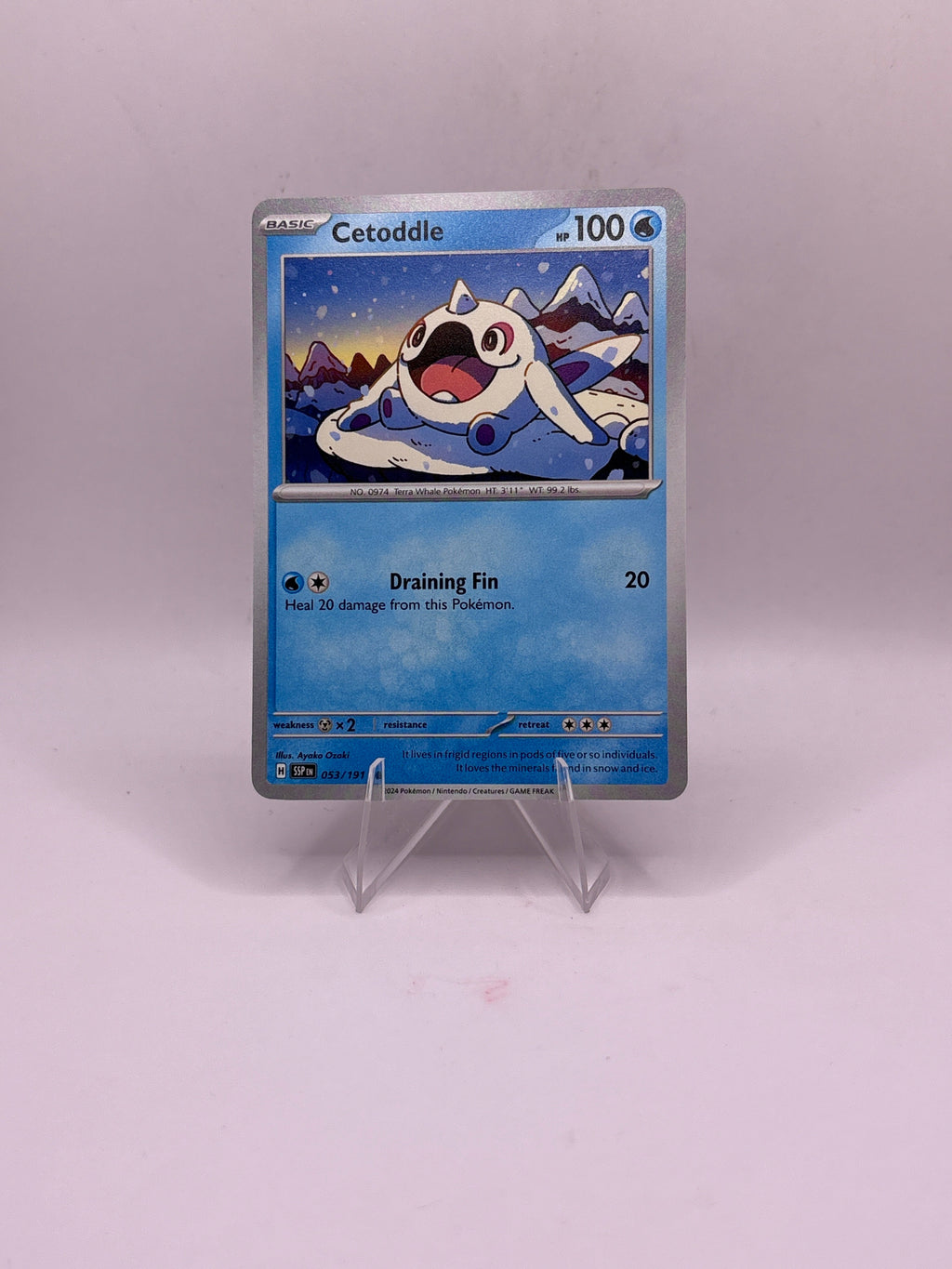 Pokemon Cetoddle