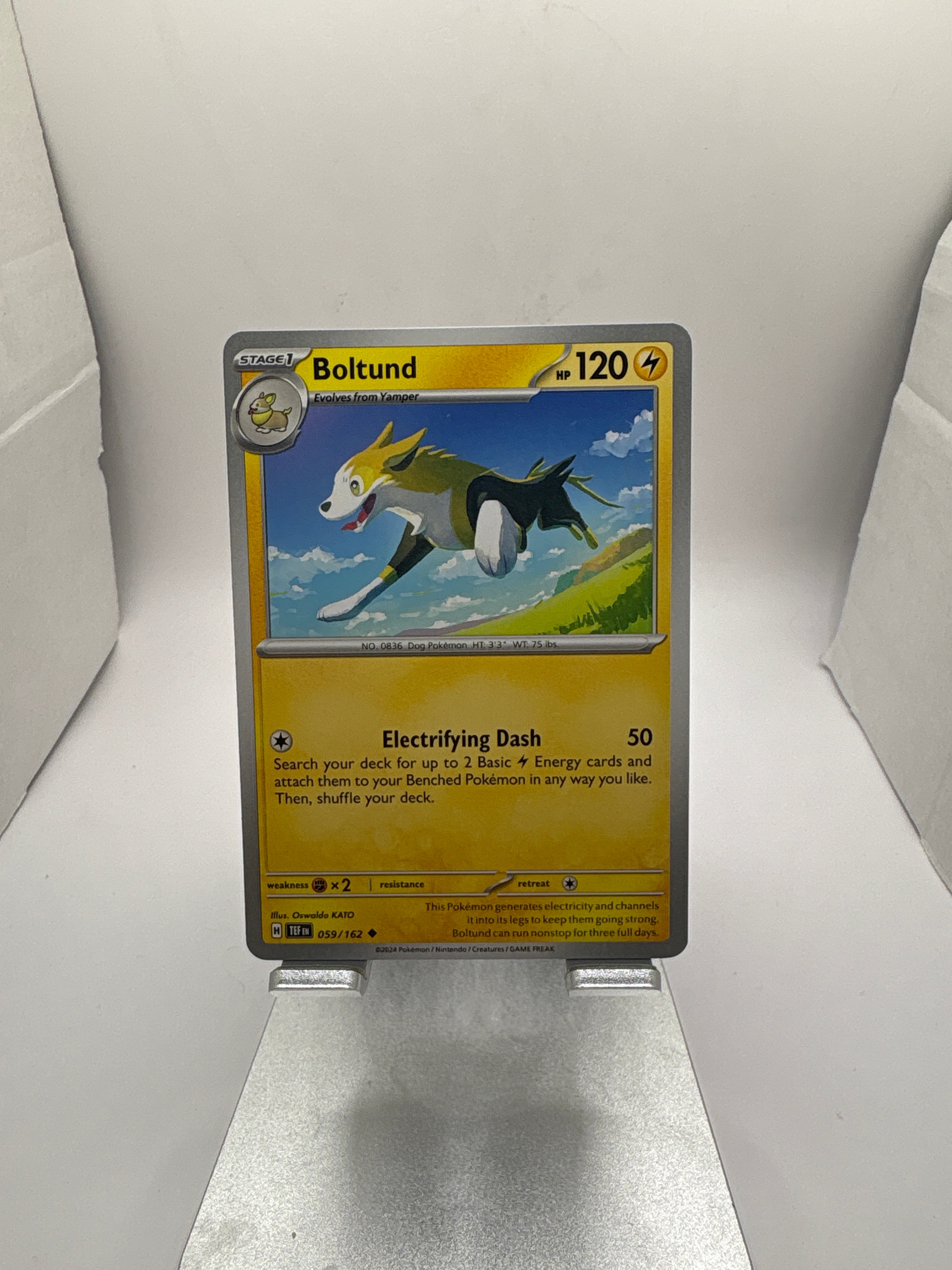 Pokemon Boltund