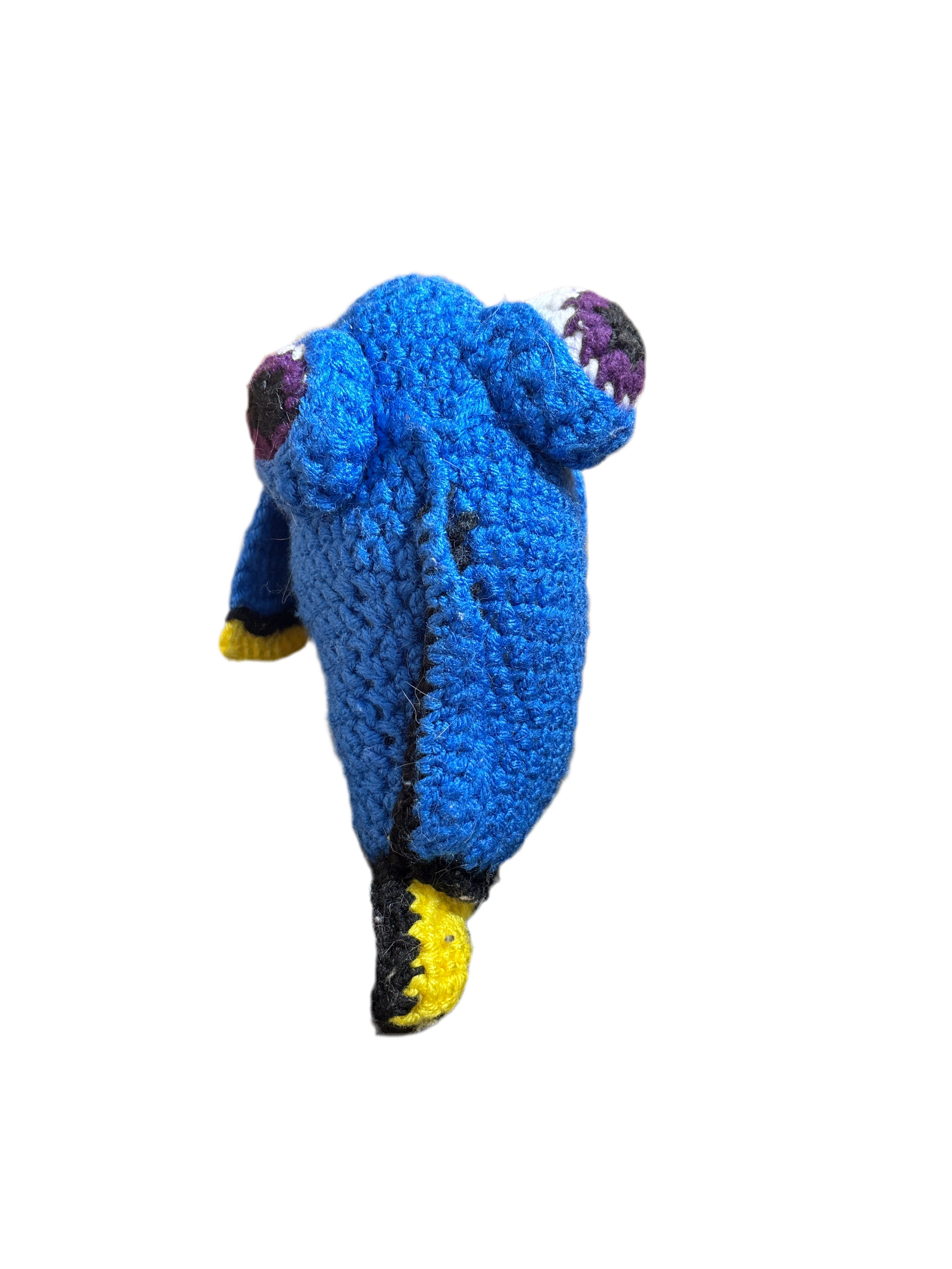 Blue Tang