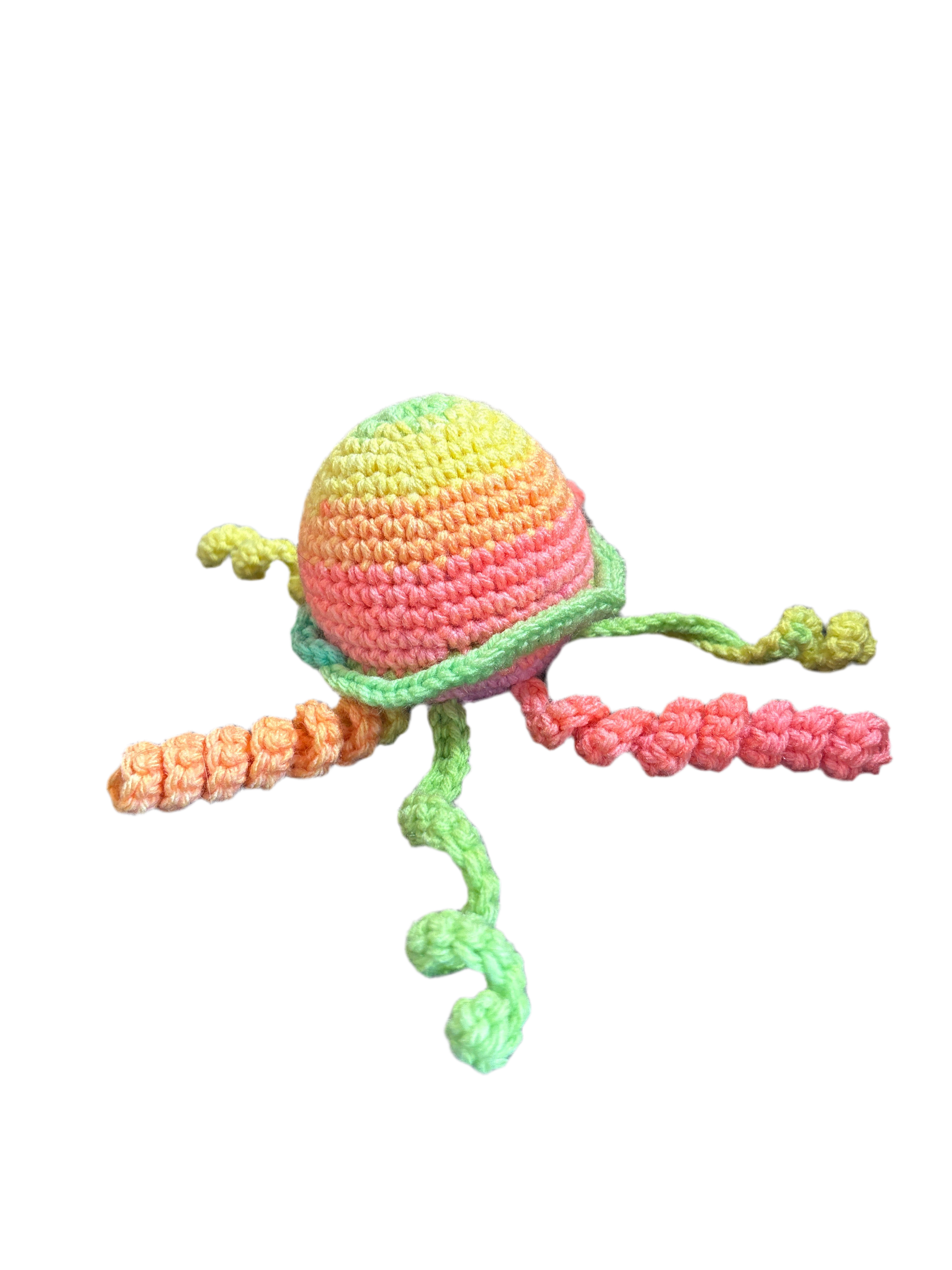Jellyfish