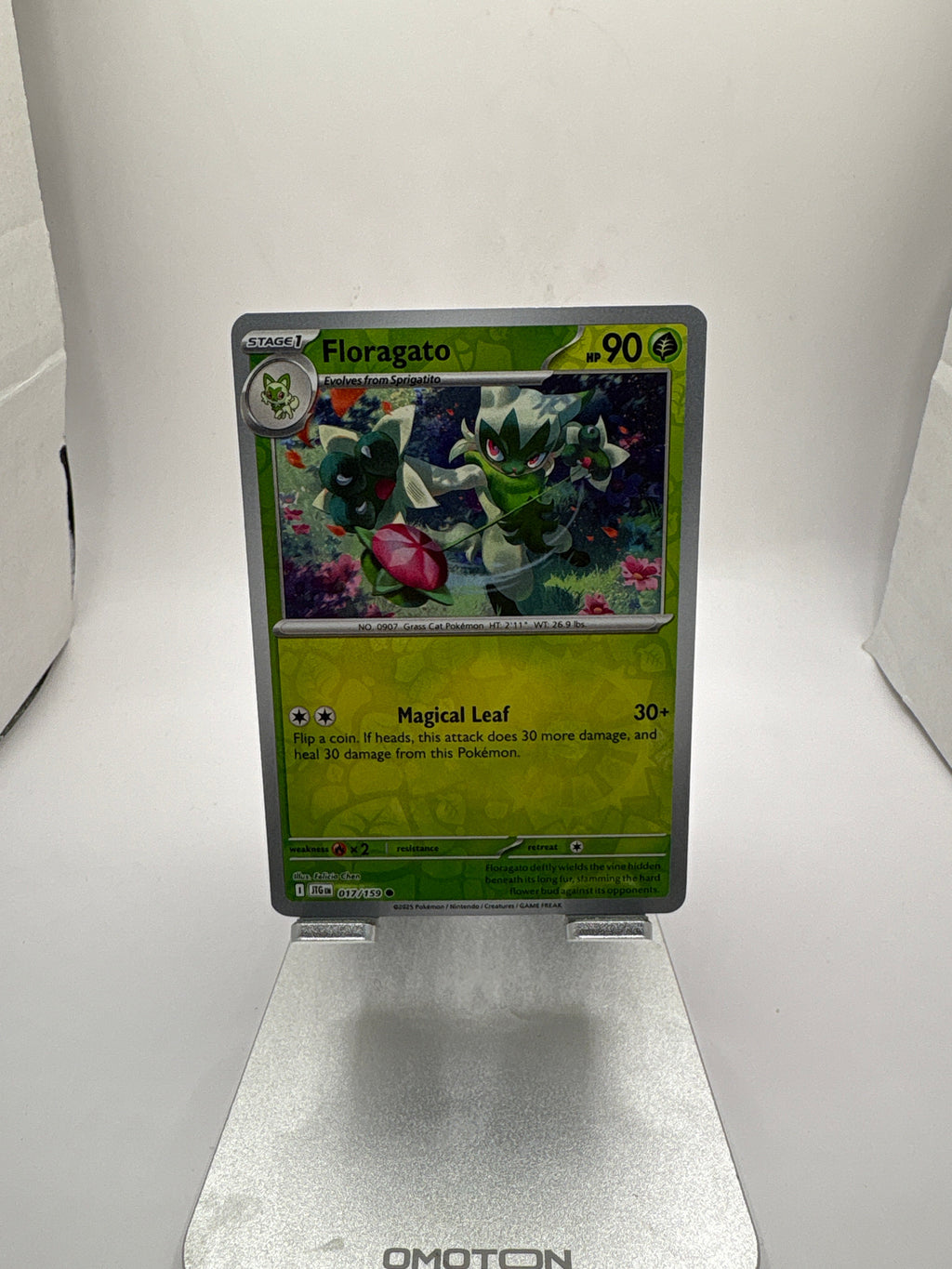 Pokemon Floragato