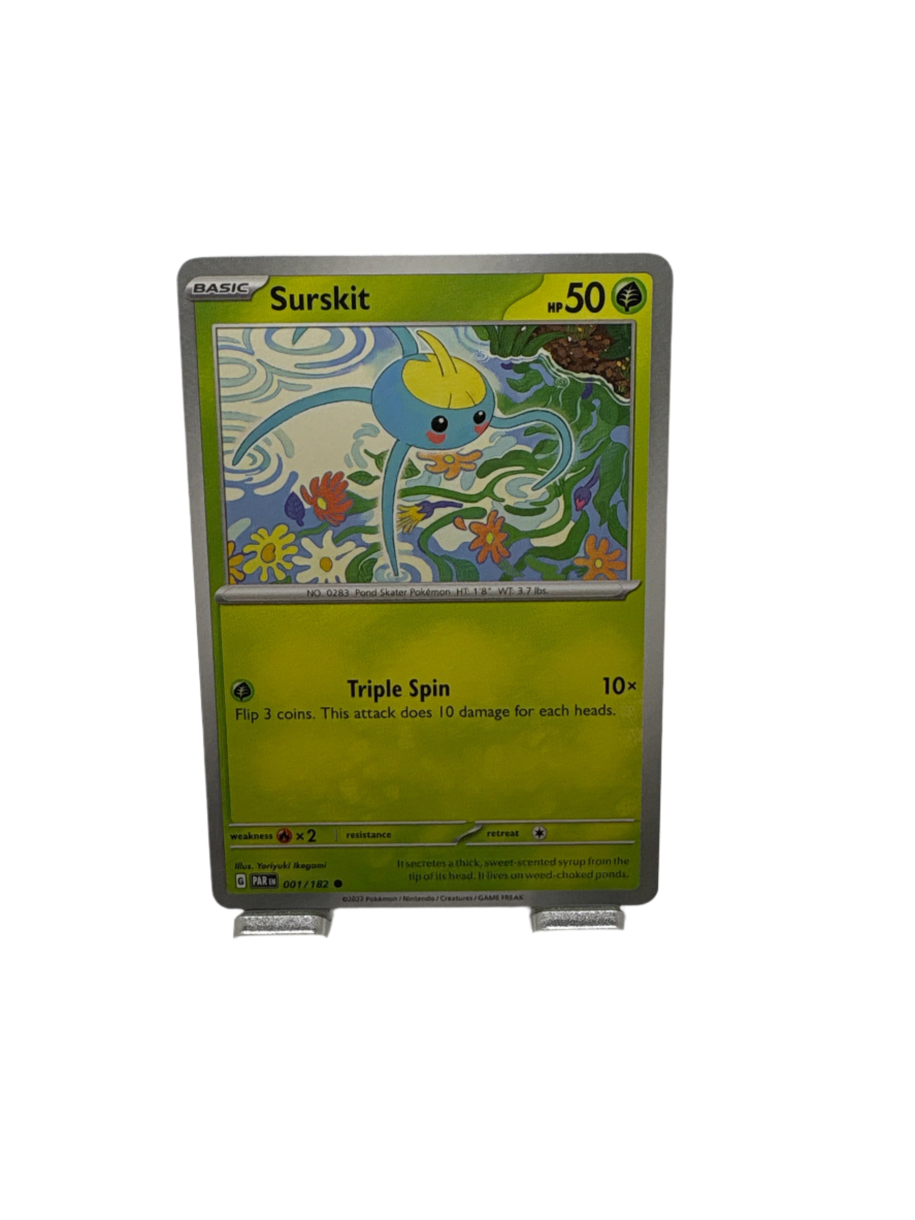 Pokemon Surskit