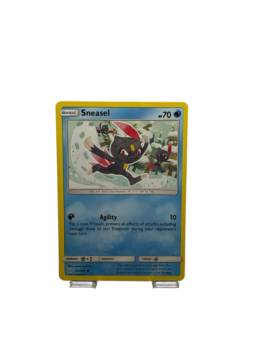 Pokemon Sneasel