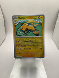 Pokemon Raichu