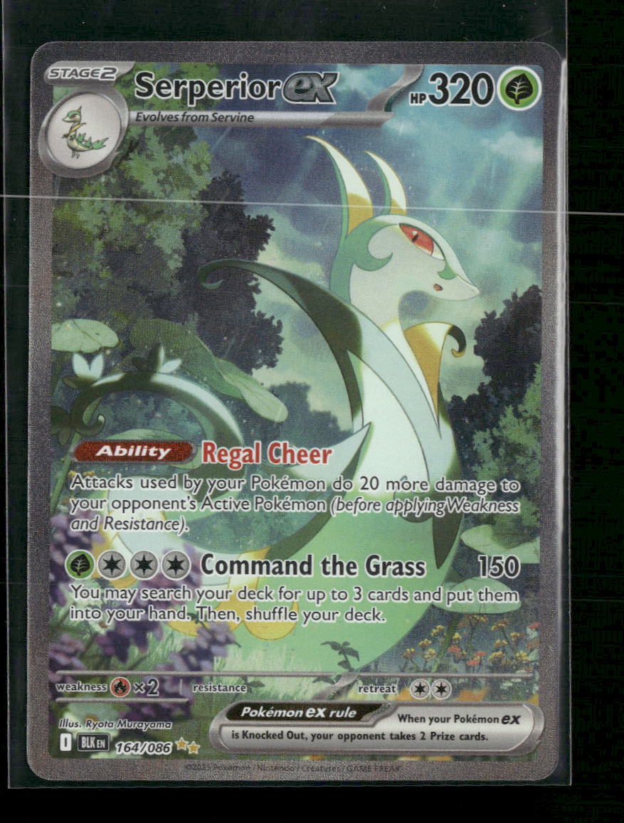 SV: Black Bolt Serperior ex #164/086