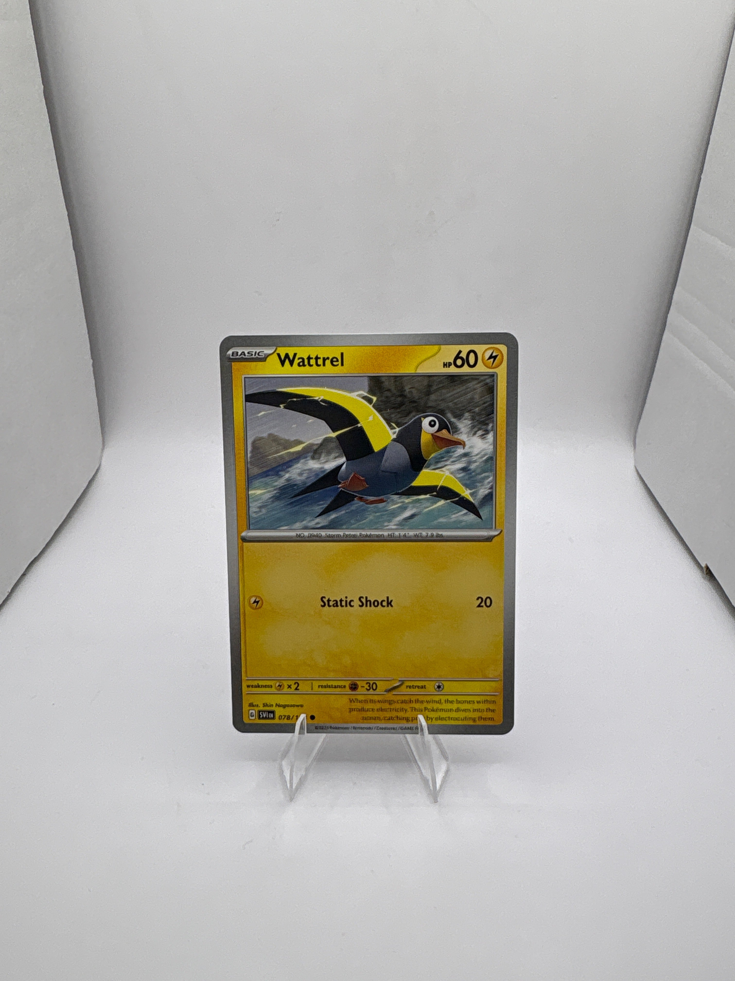 Pokemon Wattrel