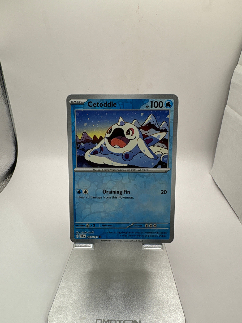 Pokemon Cetoddle