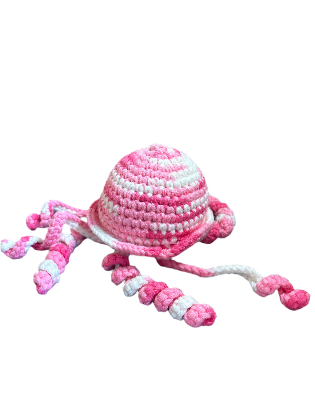 Jellyfish