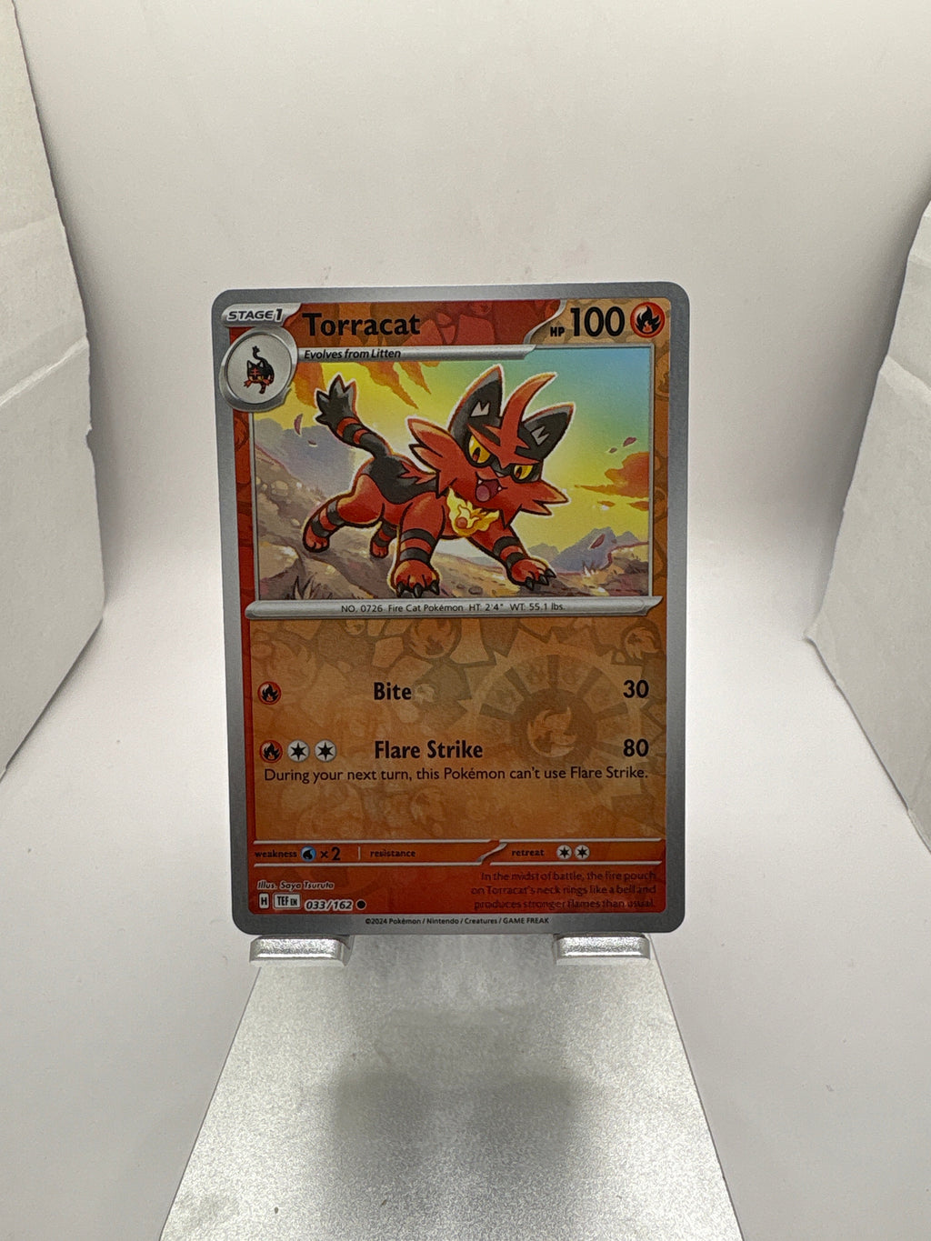 Pokemon Torracat
