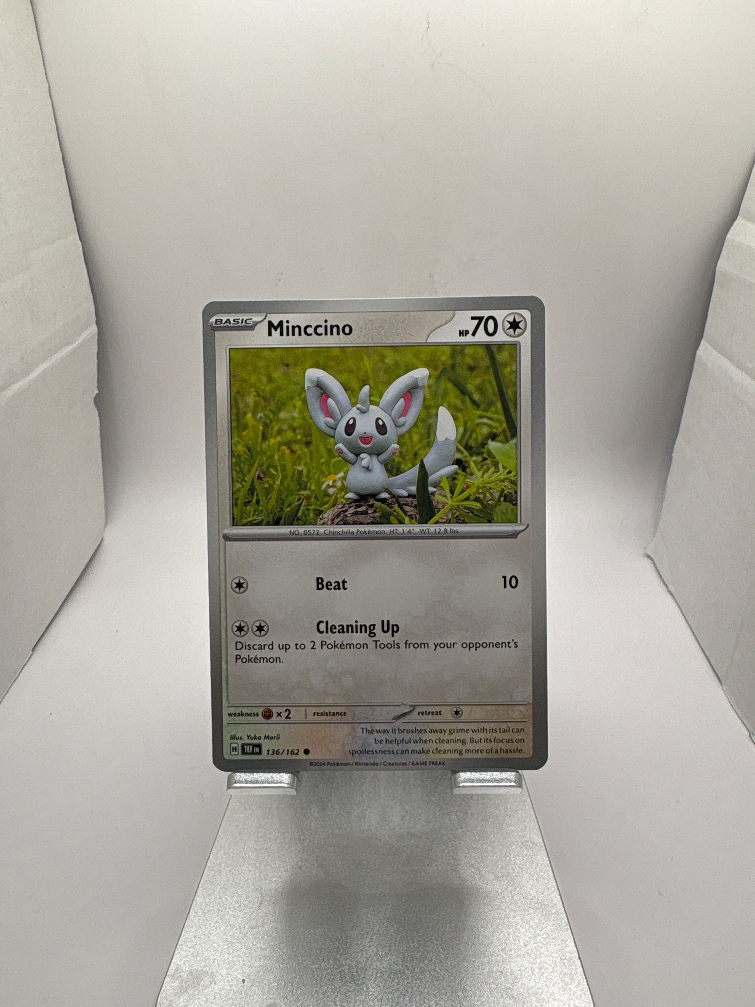 Pokemon Minccino