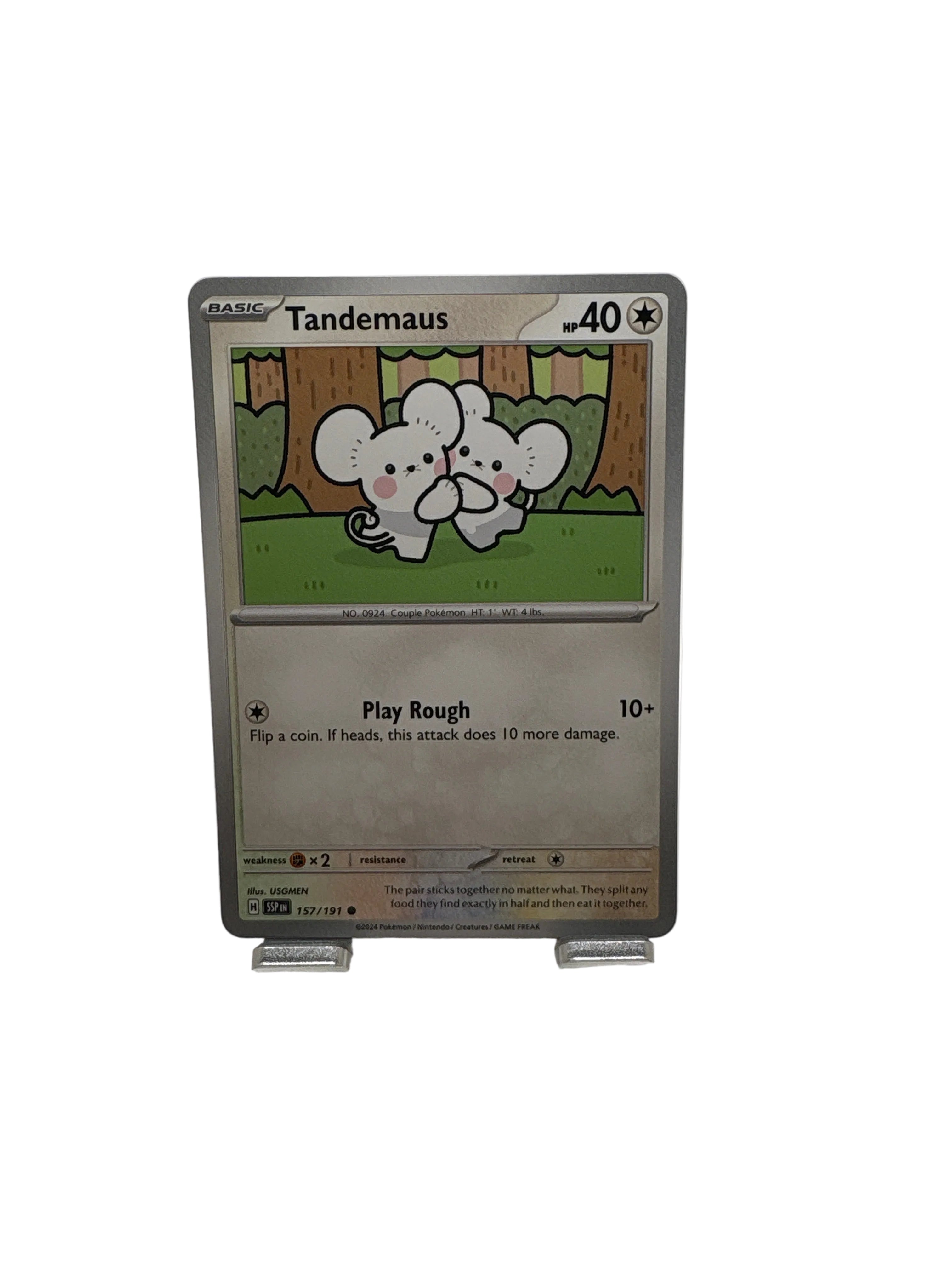 Pokemon Tandemaus