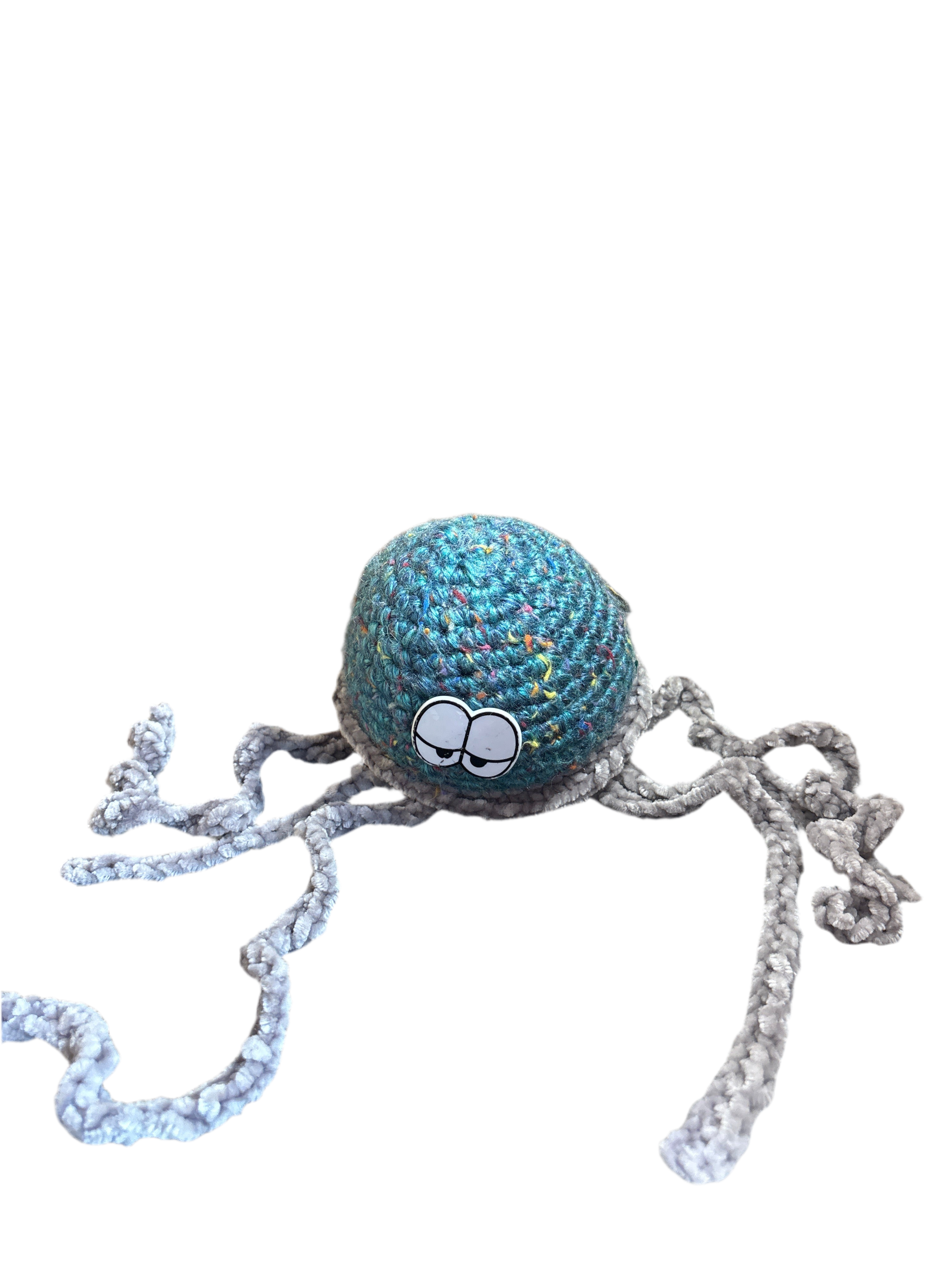 Jellyfish