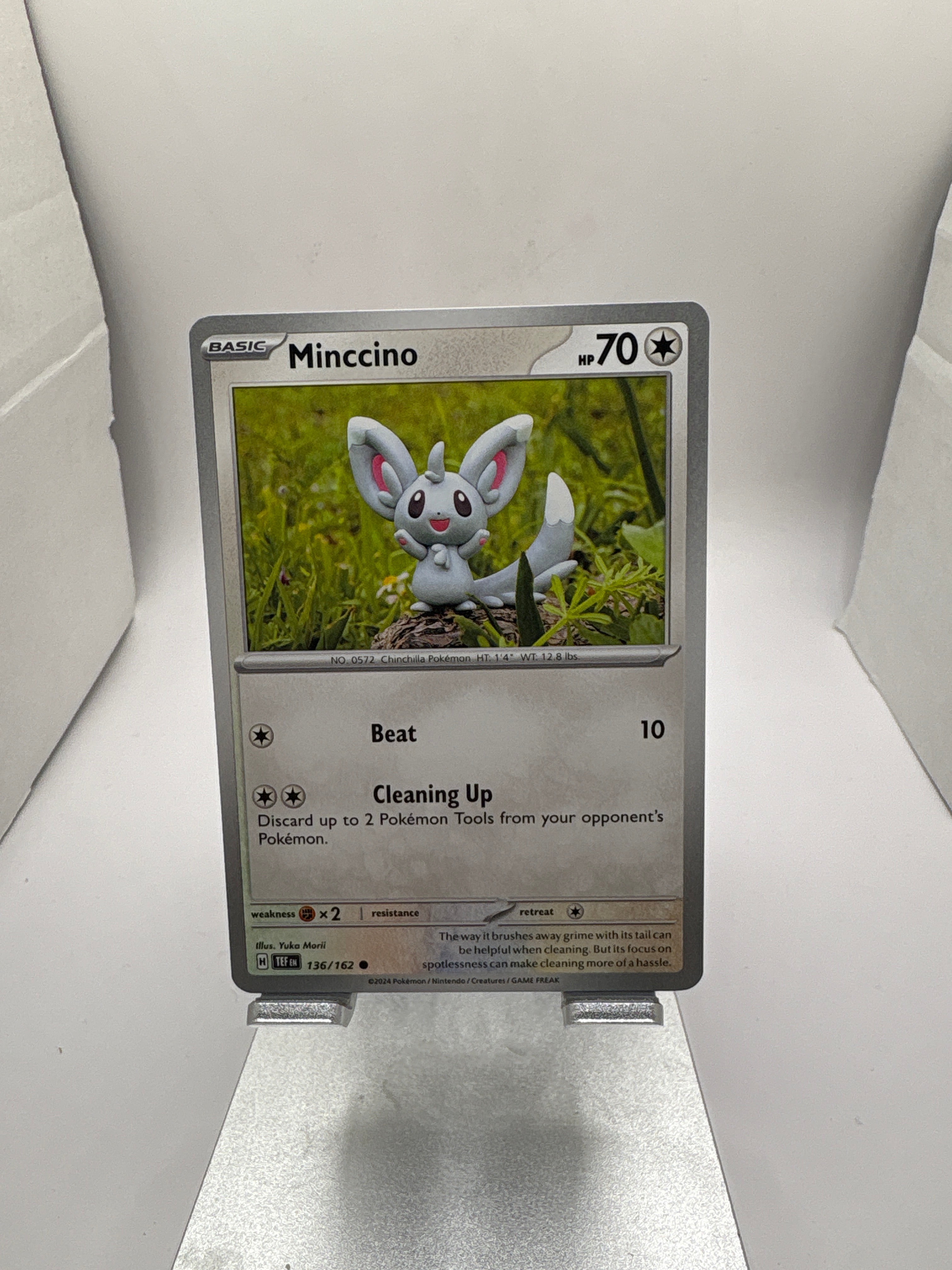 Pokemon Minccino