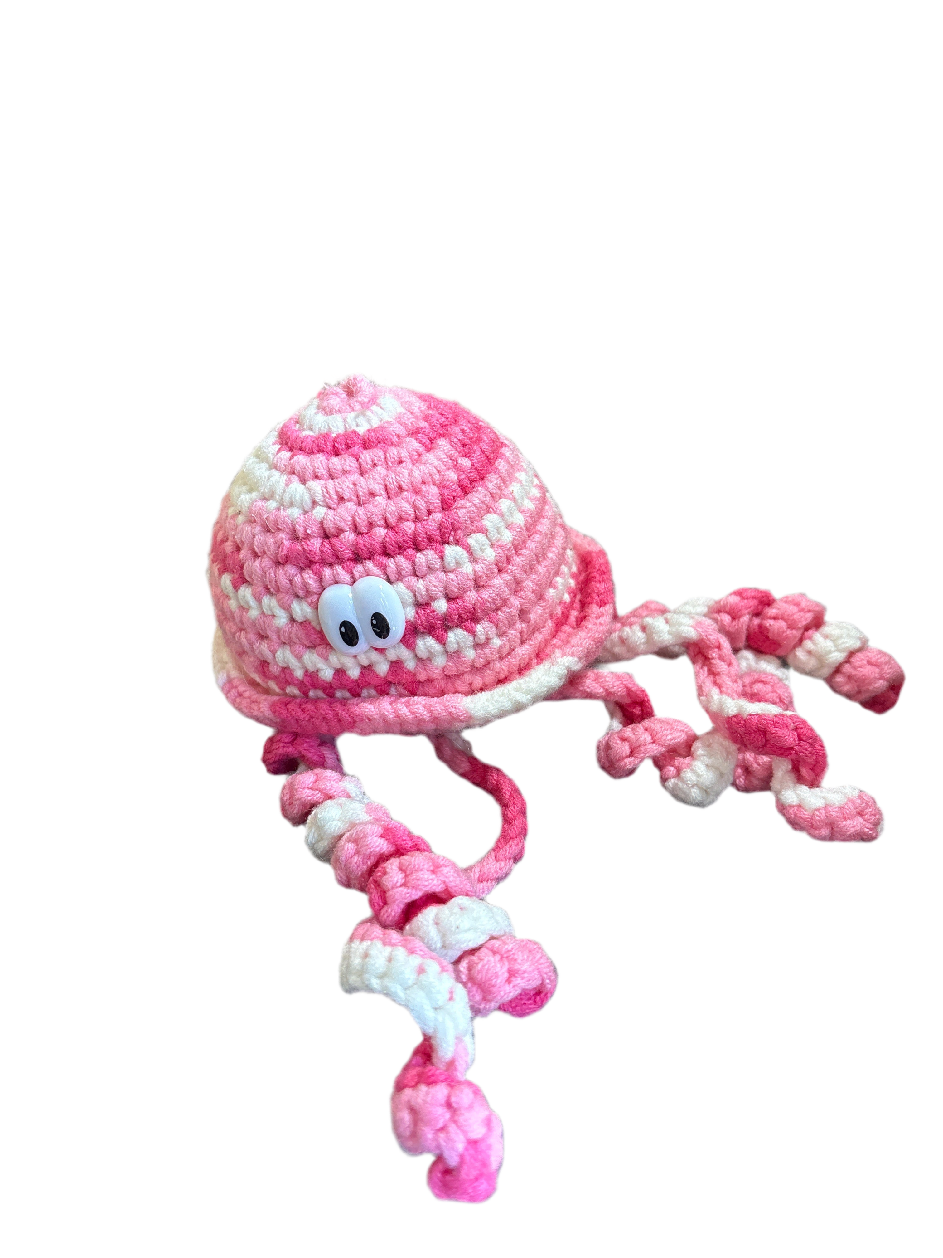 Jellyfish