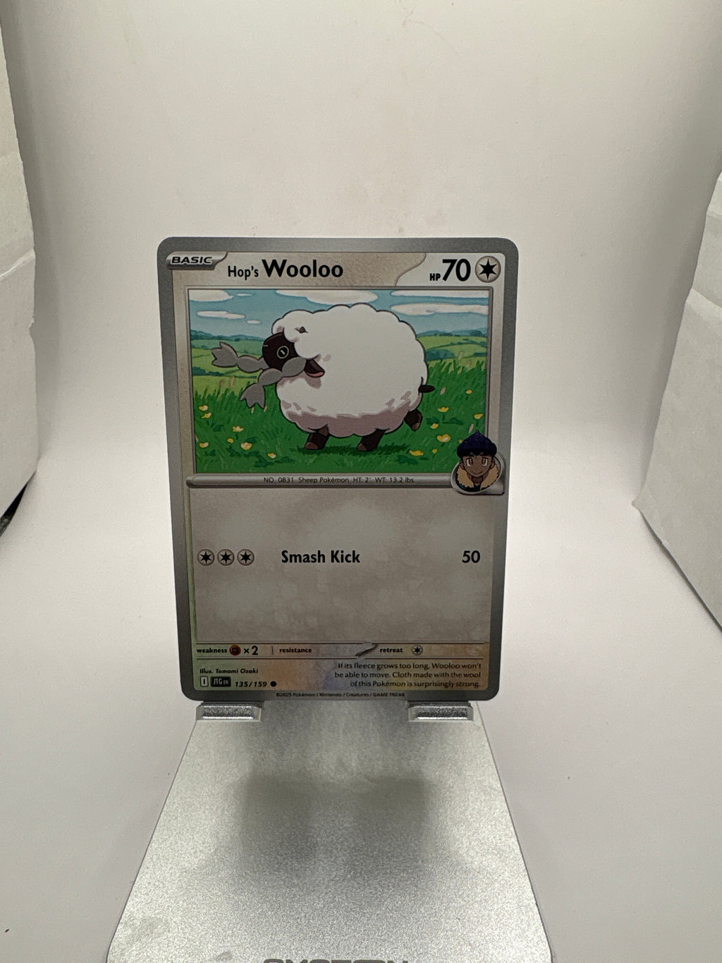 Pokemon Hop’s Wooloo