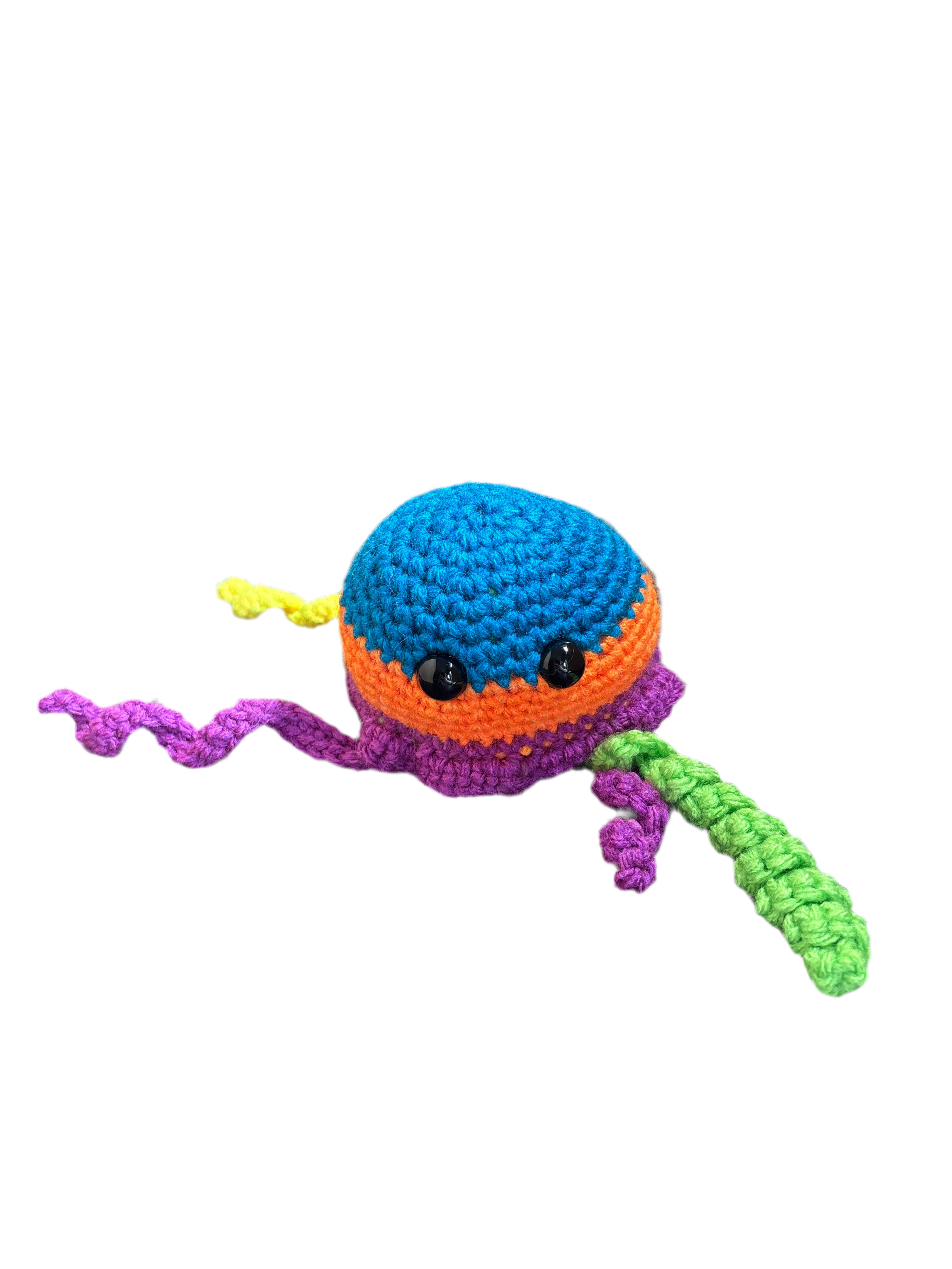 Jellyfish