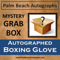 Mystery Grab Box - WBO Autographed Boxing Glove