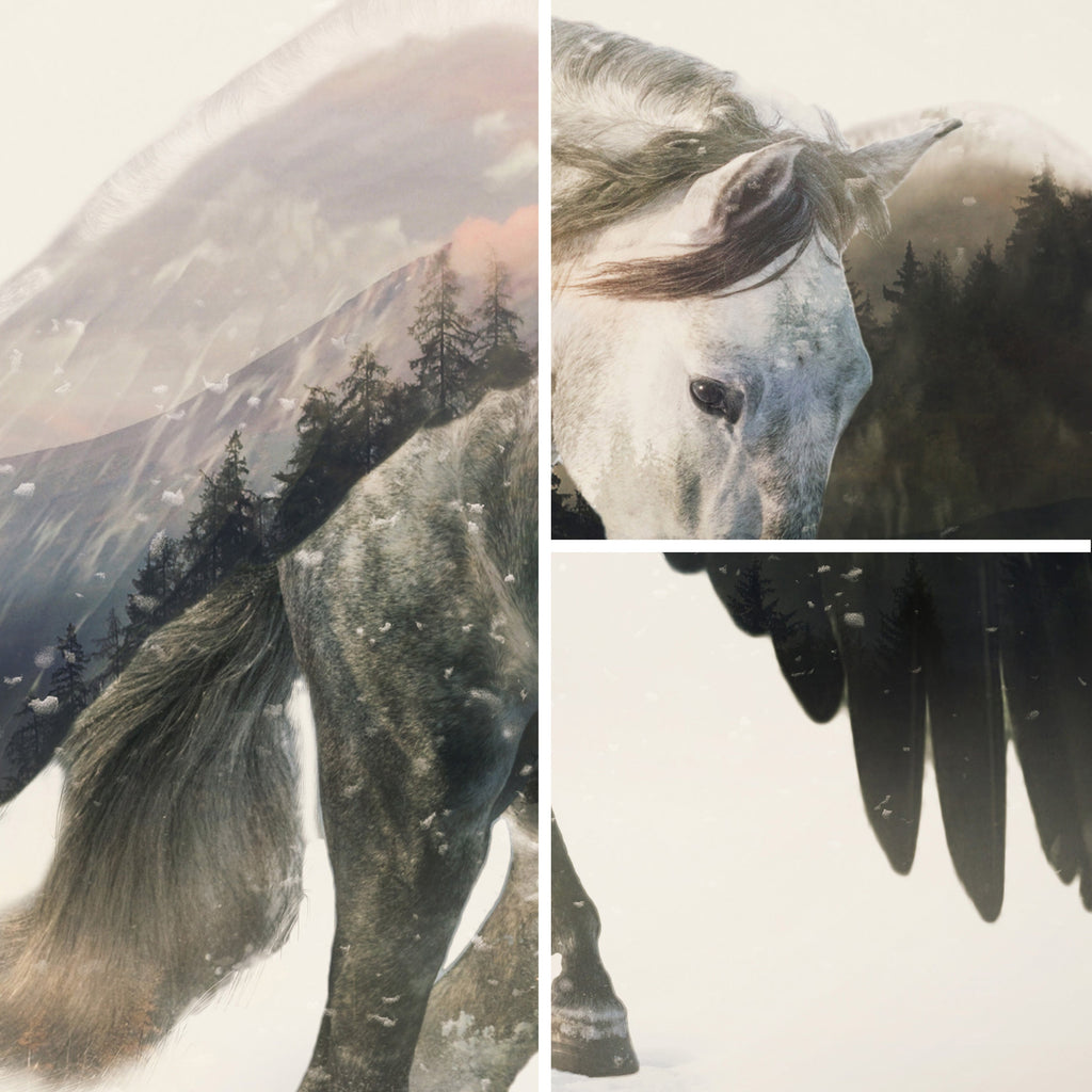 Pegasus D&D Canvas Artwork