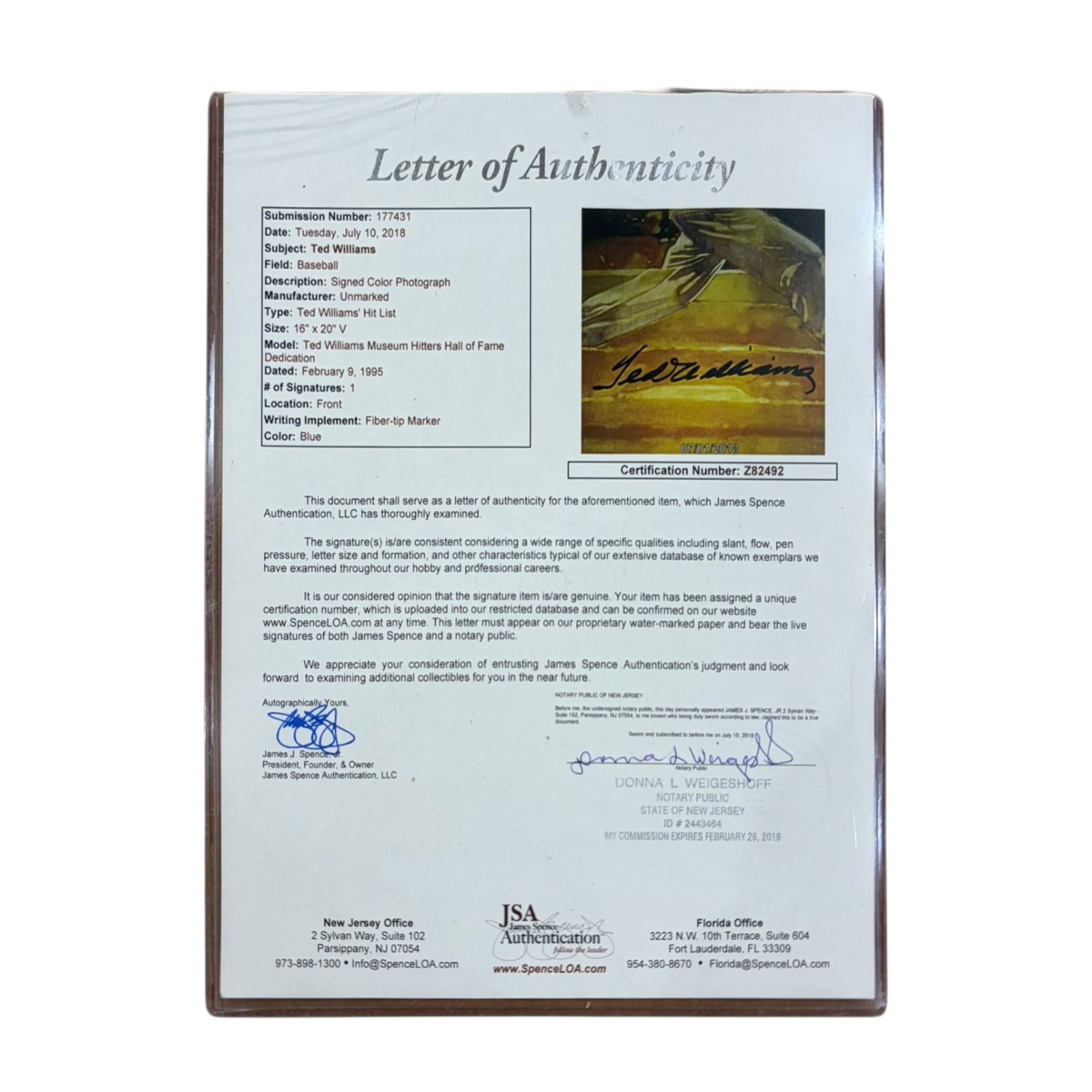 Ted Williams Autographed Boston Red Sox Deluxe Framed 16x20 Hit List Poster - Green Diamond, JSA