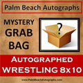 Mystery Grab Bag - WWE 8x10 Autographed Photo